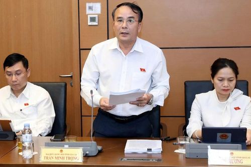 Hoàn thiện hành lang pháp lý cho hoạt động kiểm định hải quan