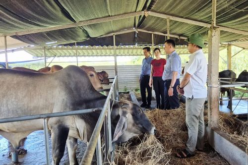 Phát triển nông nghiệp bền vững