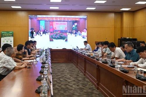 Đơn giản hóa thủ tục cấp mã số vùng trồng, cơ sở đóng gói theo hướng số hóa toàn trình