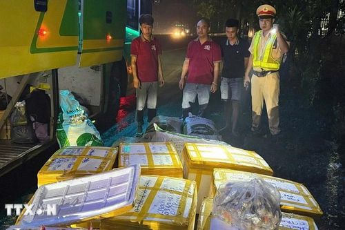 Đồng Nai: Phát hiện xe khách chở hơn 800kg thực phẩm chế biến không rõ nguồn gốc
