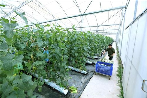 Địa phương còn lúng túng trong triển khai phát triển khoa học công nghệ