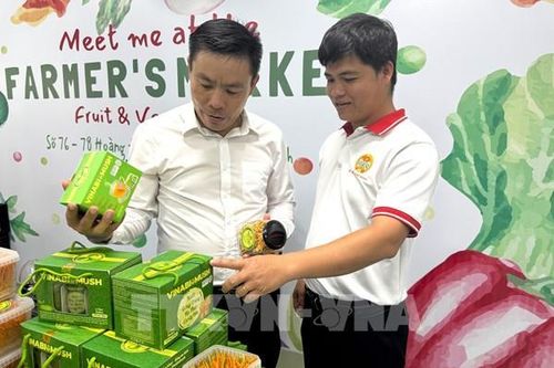 Giải bài toán OCOP từ 'đạt sao' sang 'nâng sao'