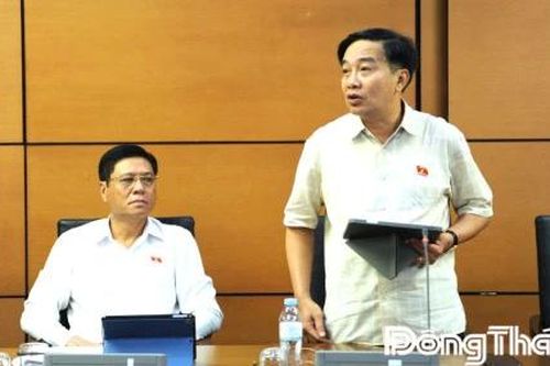 Đoàn Đại biểu Quốc hội tỉnh Đồng Tháp: Thảo luận các dự án luật, nghị quyết trình kỳ họp