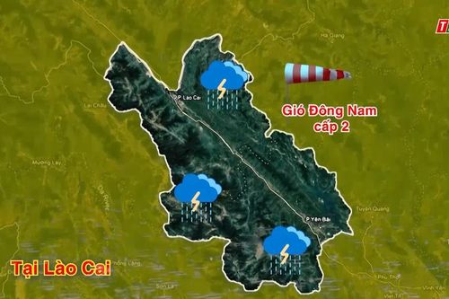 Dự báo thời tiết ngày 4/8