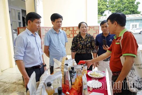 Kết nối thị trường, mở rộng đầu ra cho nông sản hữu cơ