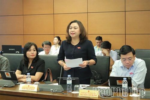 Đại biểu Quốc hội tỉnh Phú Thọ thảo luận một số dự án luật