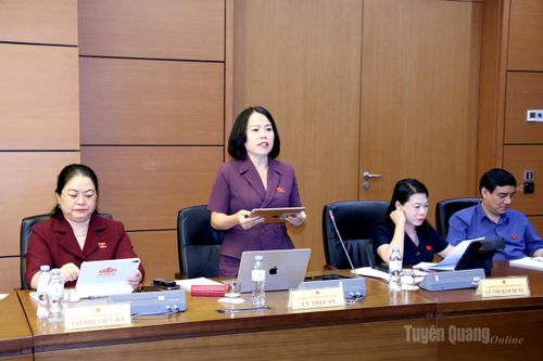 Đoàn ĐBQH tỉnh Tuyên Quang thảo luận tổ, góp ý nhiều nội dung quan trọng vào các dự án luật