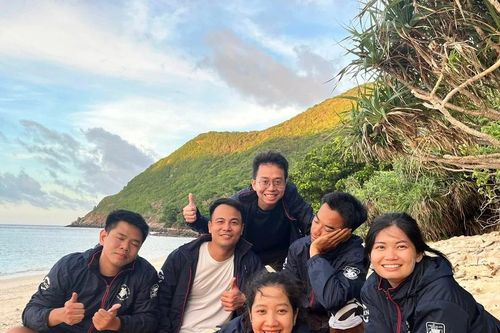 'Bảo mẫu' của rùa biển