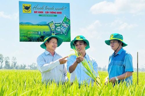 Đất khỏe, cây khỏe, người nông dân thêm niềm tin