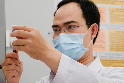 Nhiều người phải đi tiêm phòng dại, xử trí thế nào khi bị chó, mèo cắn?