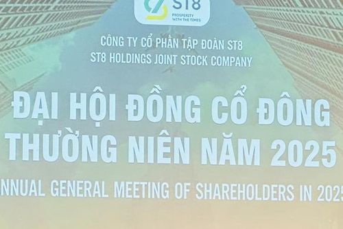 Tập đoàn ST8 bị xử phạt vì báo lỗ thành lãi