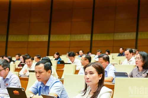 Bảo đảm minh bạch, thống nhất trong cắt giảm ngành, nghề kinh doanh có điều kiện