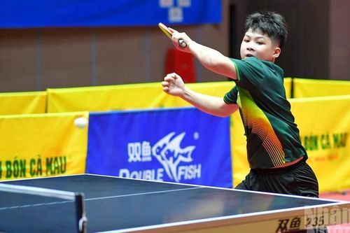 [Ảnh] Những khoảnh khắc đáng nhớ trong ngày bế mạc Giải bóng bàn toàn quốc Báo Nhân Dân mở rộng năm 2026