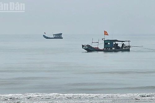 Thanh Hóa chủ động phòng, chống mưa, bão