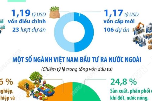 Đầu tư của Việt Nam ra nước ngoài trong 7 tháng đạt 2,36 tỷ USD