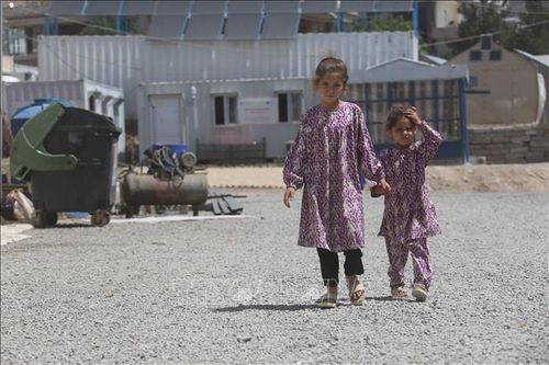 Afghanistan đối mặt khủng hoảng lương thực nghiêm trọng do thiếu hụt viện trợ