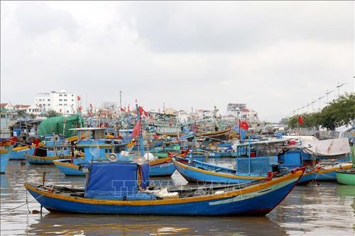 Lâm Đồng khẩn cấp kích hoạt phương án ứng phó áp thấp nhiệt đới