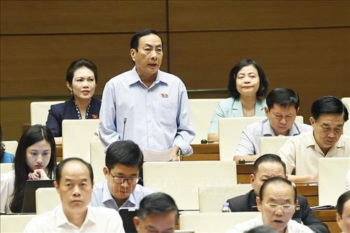 Đại biểu Quốc hội đề xuất đưa kinh doanh kim cương, đá quý vào ngành nghề có điều kiện