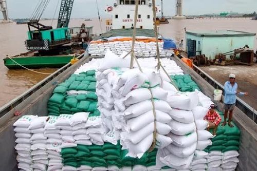 VCCI đề xuất mở cơ hội xuất khẩu gạo cho doanh nghiệp nhỏ