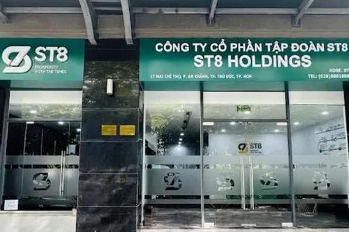 ST8 bị phạt 125 triệu đồng vì công bố sai lợi nhuận