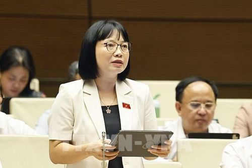 Kỳ họp không thường lệ thứ Nhất, Quốc hội khóa XVI: Không tạo khoảng trống pháp lý khi cắt giảm các ngành, nghề đầu tư kinh doanh có điều kiện