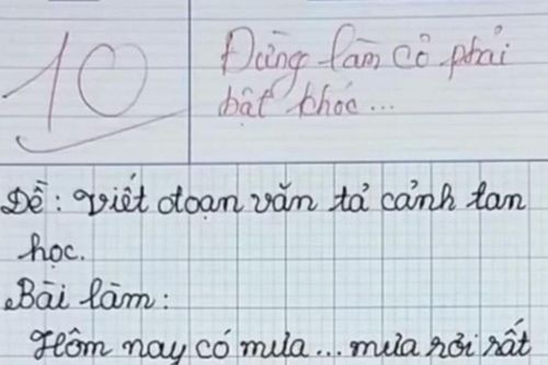 Bài văn được chấm điểm tối đa, nội dung có gì mà giáo viên phải viết 'đừng làm cô phải khóc'