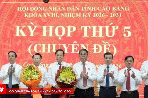 Phê chuẩn kết quả bầu, miễn nhiệm chức vụ Phó Chủ tịch UBND tỉnh Cao Bằng