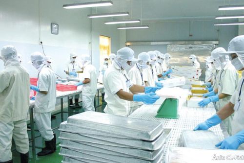 Chuỗi sản xuất khép kín mở dư địa cho cá tra Việt vào thị trường Halal