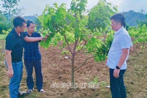 Pắc Ta nâng cao chất lượng xây dựng tổ chức đảng và đội ngũ cán bộ