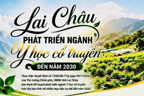 Lai Châu triển khai phát triển ngành Y học cổ truyền đến năm 2030