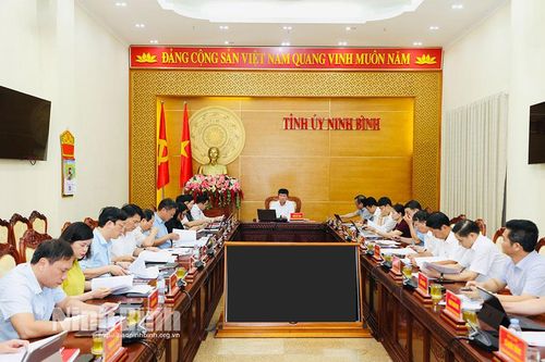 Ban Thường vụ Tỉnh ủy xem xét, thi hành kỷ luật đảng viên vi phạm