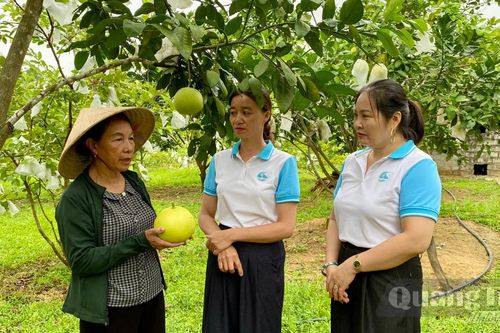 Tiếp sức phụ nữ phát triển kinh tế