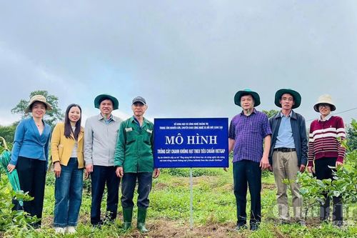 Đổi mới ấn phẩm khoa học và công nghệ