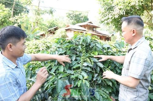 Đánh thức tiềm năng mở hướng làm giàu