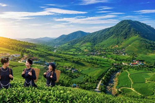 Xanh mướt La Bằng