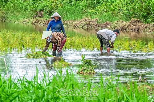 Dân vận khéo, lan toả nghĩa tình