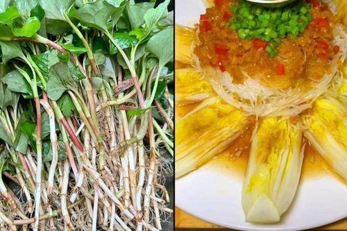 Nhiều người sợ ăn 5 loại rau này vì lo ung thư, sự thật khiến không ít người bất ngờ