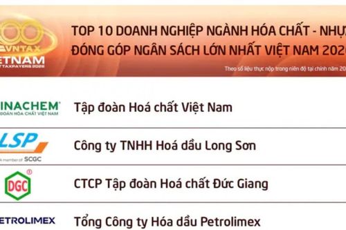 10 doanh nghiệp hóa chất, nhựa nộp ngân sách nhiều nhất Việt Nam