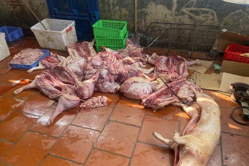 Hưng Yên: Chuyển hồ sơ vụ gần 1 tấn thịt lợn có dấu hiệu vi phạm sang cơ quan điều tra
