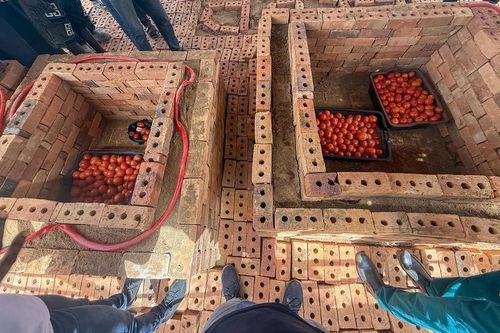 Ghana phổ biến kho lạnh không dùng điện giúp giảm thất thoát rau sau thu hoạch