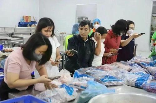 Hà Nội: Minh bạch hóa năng lực nhà cung cấp, đảm bảo chất lượng bữa ăn bán trú