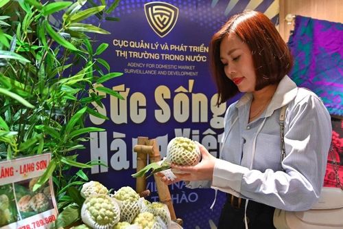 Thúc đẩy phát triển thị trường bán lẻ