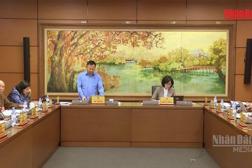 [Video] Người nổi tiếng livestream, tài sản mã hóa nóng nghị trường chiều 6/8