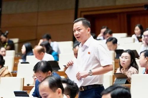 Lý do ĐBQH đề xuất đưa kim cương vào diện kinh doanh có điều kiện