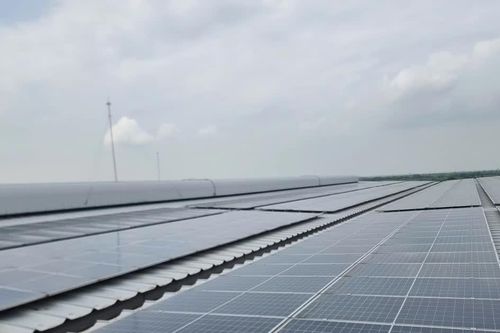 [VIDEO] Doanh nghiệp miền Bắc bùng nổ lắp điện mặt trời mái nhà, tiết kiệm tră