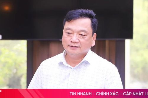 Hà Tĩnh thúc đẩy phát triển bền vững cây dó bầu