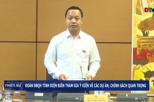 Đoàn ĐBQH tỉnh Điện Biên tham gia ý kiến về các dự án, chính sách quan trọng