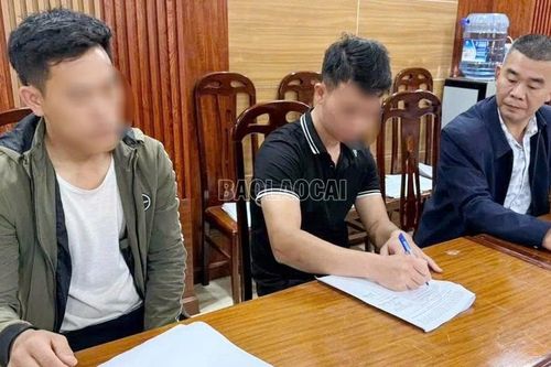 Phường Sa Pa phát hiện 2 xe ô tô vi phạm đổ thải không đúng quy định