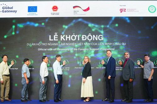 20 triệu EUR hỗ trợ phát triển rừng tại Việt Nam