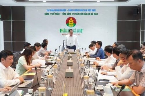 Cụm Khí - Điện - Đạm Cà Mau giữ vai trò chủ lực trong tăng trưởng của địa phương